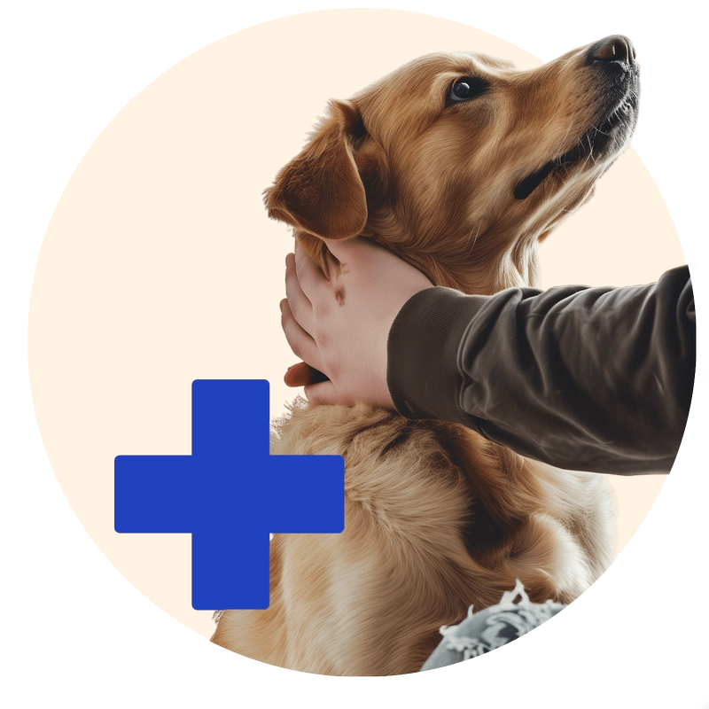 consultorio veterinario en terrassa 2