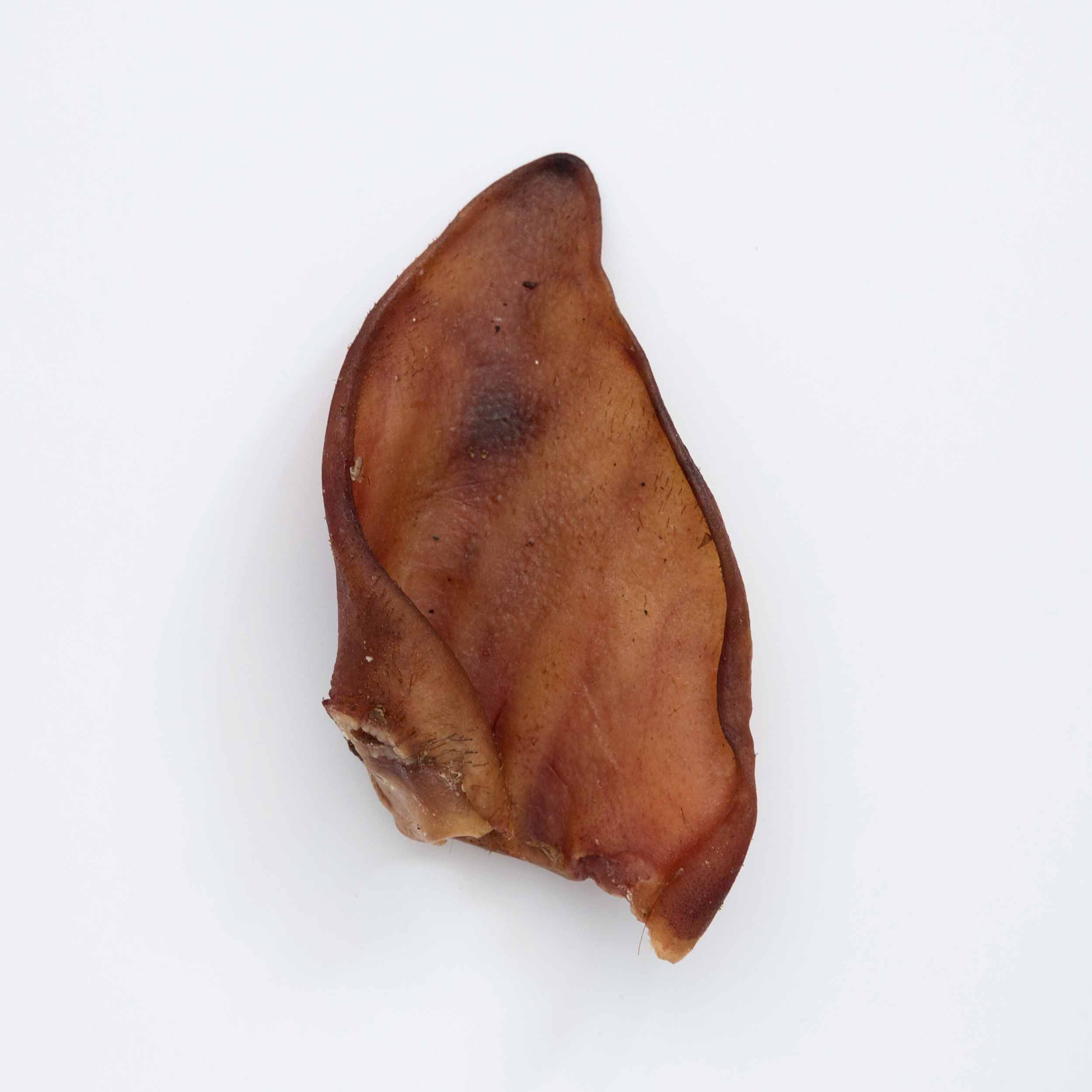 alimentacion natural para perros y gatos 10
