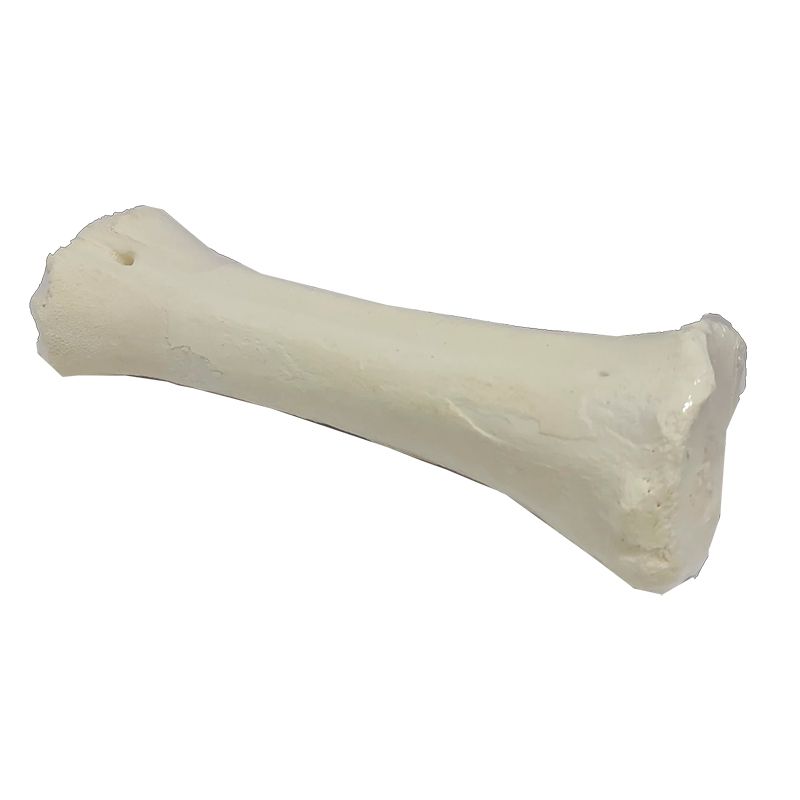alimentacion natural para perros y gatos 12