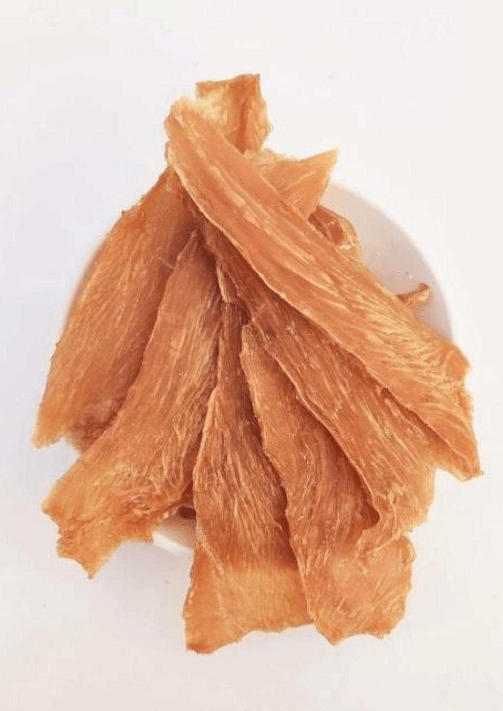 alimentacion natural para perros y gatos 2