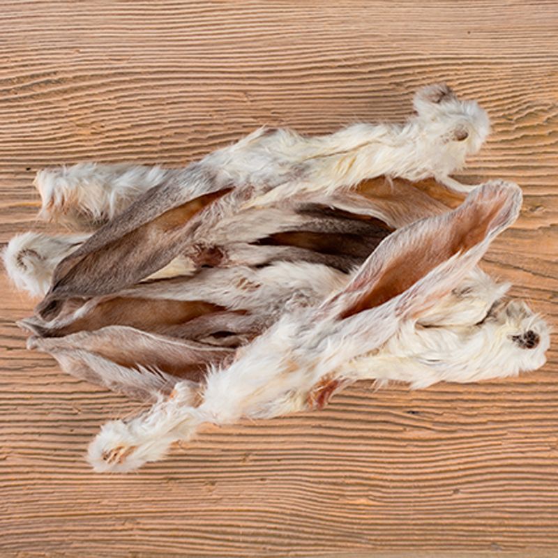 alimentacion natural para perros y gatos 6