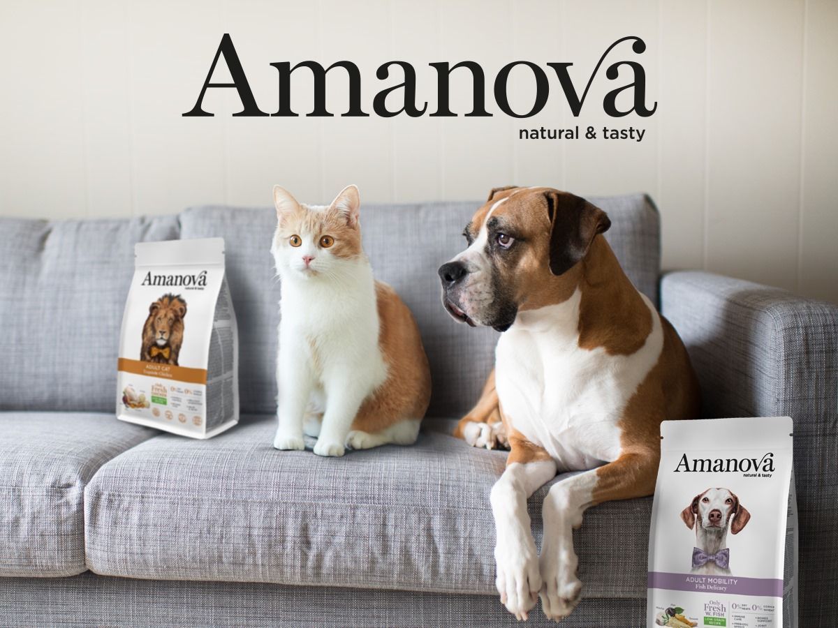 alimentacion natural para perros y gatos