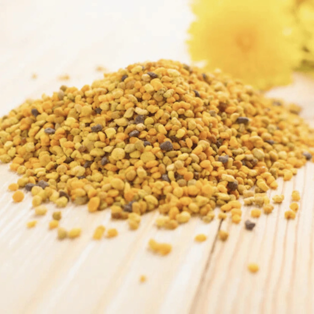 dieta barf para perros y gatos 3
