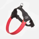 arnes daily para perros pratiko 2