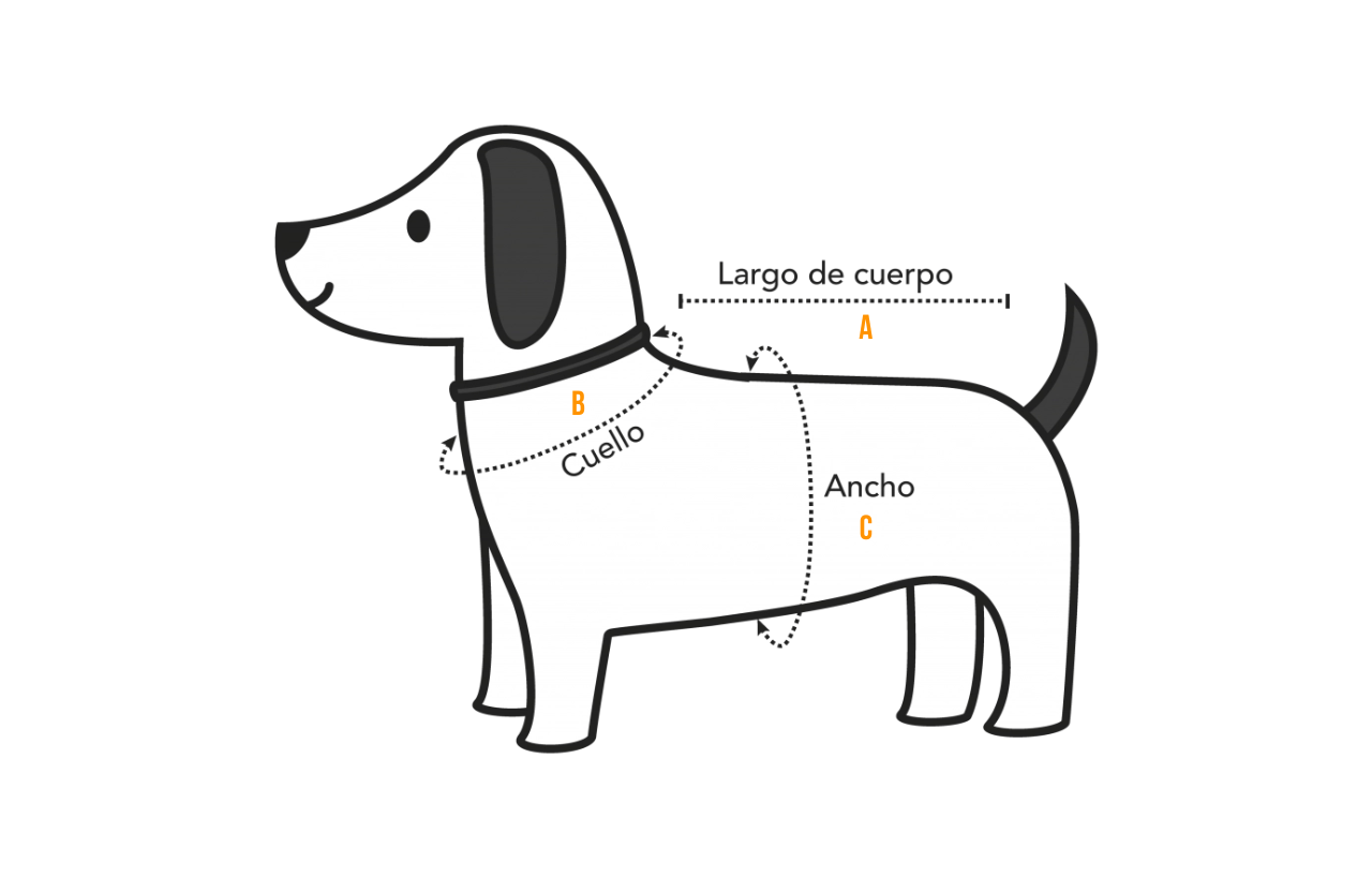 como medir bien a tu perro 2