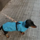 impermeable y paraviento vimy para perros trixie