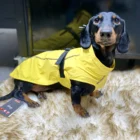 impermeable y paraviento vimy para perros trixie talla 80 amarillo