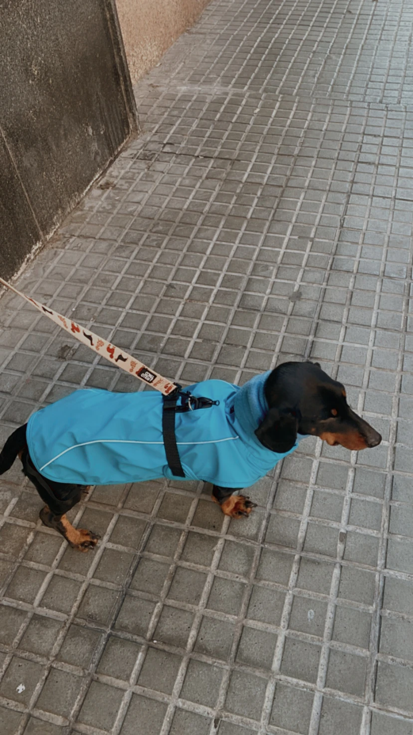 impermeable y paraviento vimy para perros trixie