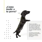 jersey sander para perros arppe 3