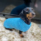 jersey sander para perros arppe