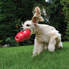 juguete bounzer para perros kong