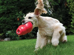 juguete bounzer para perros kong