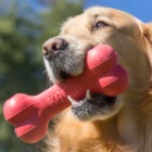juguete goodie bone para perros kong 2