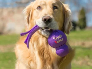 juguete wubba interactivo para perros kong