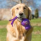 juguete wubba interactivo para perros kong