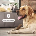 mordedor de madera de olivo para perros origins