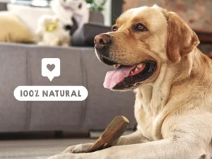 mordedor de madera de olivo para perros origins