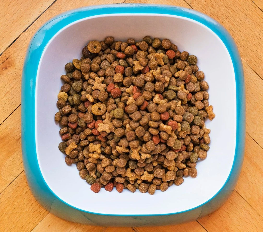 pienso para gato adulto de pavo y pato sin cereales primordial 2