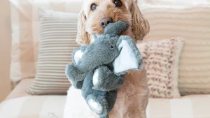 Peluche Comfort Elefante para Perros - KONG