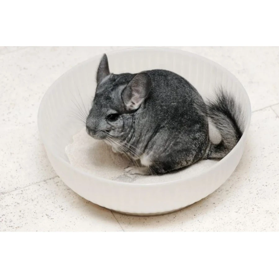arena de bano para chinchillas versele laga