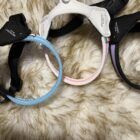 arnes daily para perros pratiko