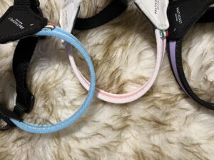 arnes daily para perros pratiko
