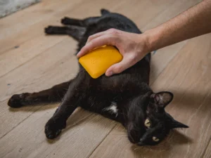 Cepillo Suave para Perros y Gatos - Fiboo