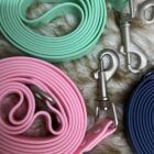 correas de biothane para perros 2
