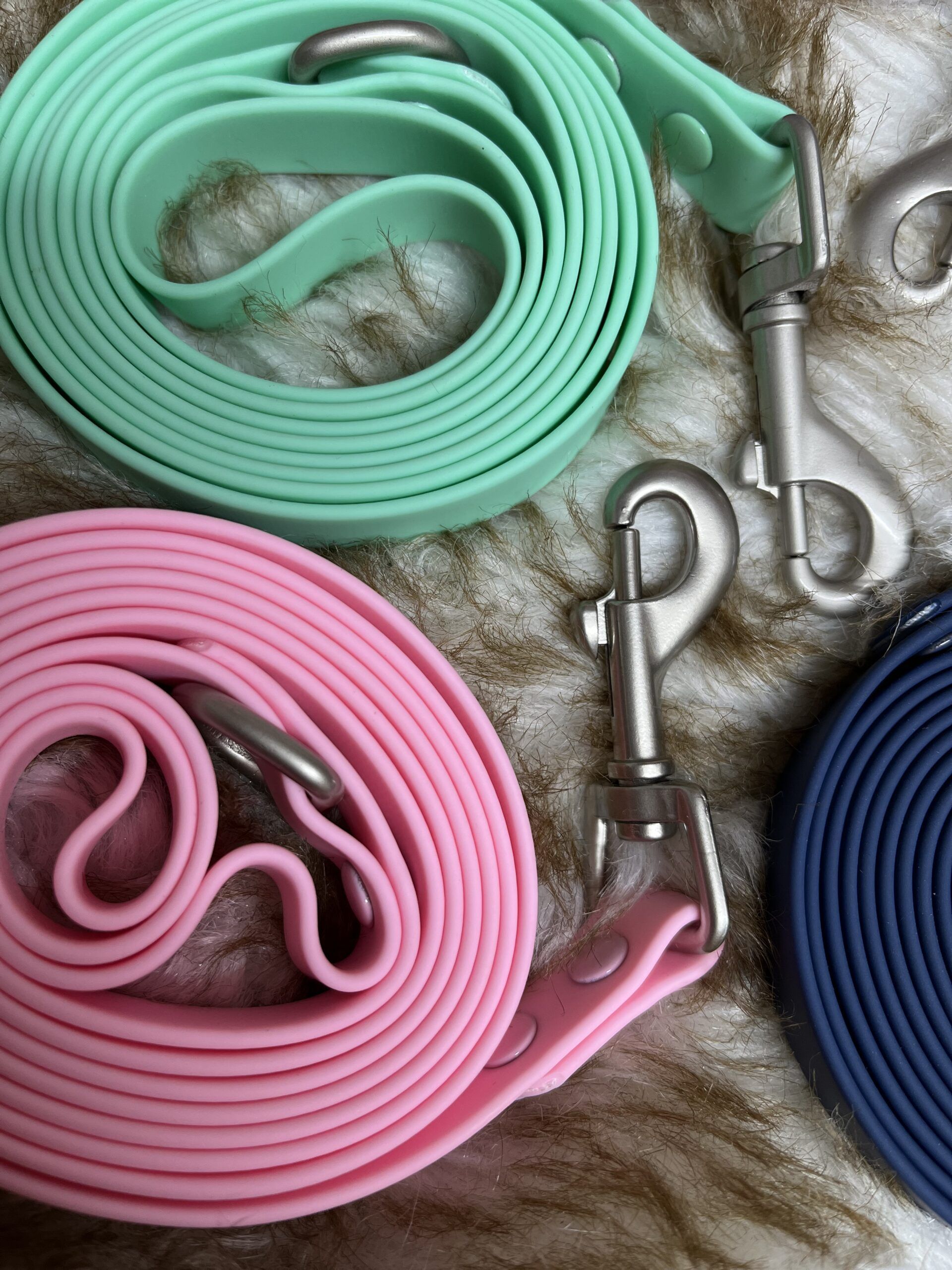 correas de biothane para perros 2