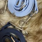 correas de biothane para perros 3