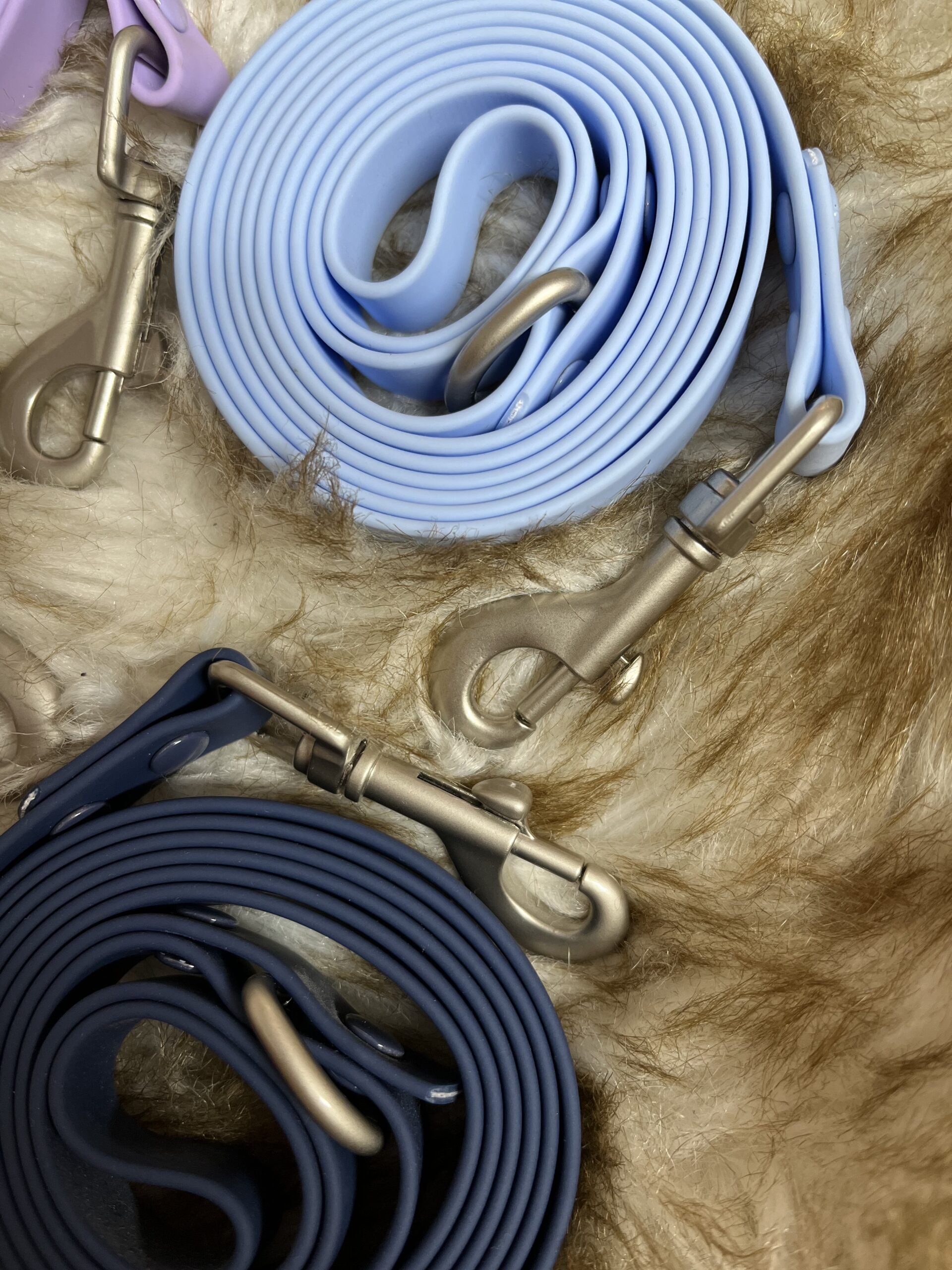 correas de biothane para perros 3