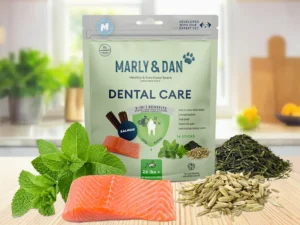 Snack Dental Care - Marly & Dan
