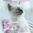 sobres de leche con calostro para gatitos lactadiet 2