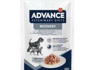 recovery sobre para perros y gatos advance