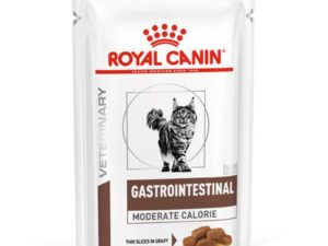sobre veterinary diet gastrointestinal para gatos royal canin