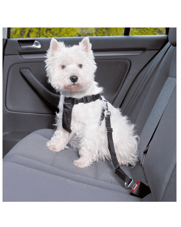 arnes de seguridad para coche friends on tour trixie 2