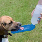 botella bebedero portatil aqua boy para perros savic 2