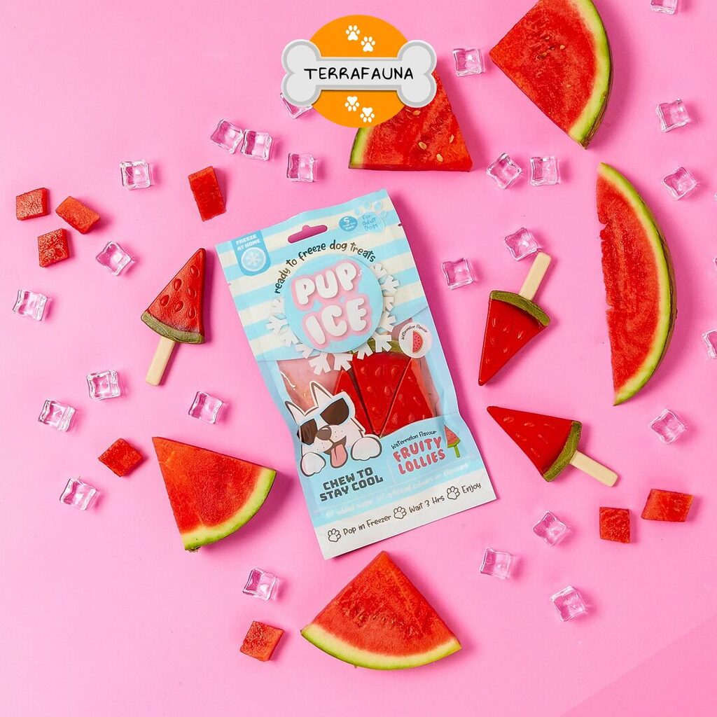 Helado natural para perros sabor sandía