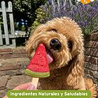 Helados para Perros - Pup Ice