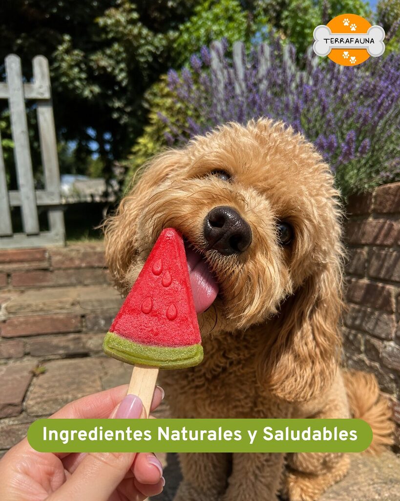 Perro comiendo helado natural para perros en verano