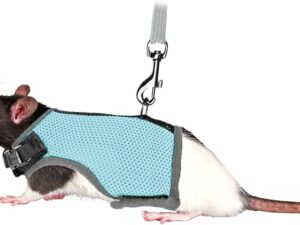 Jaula, Higiene y Accesorios