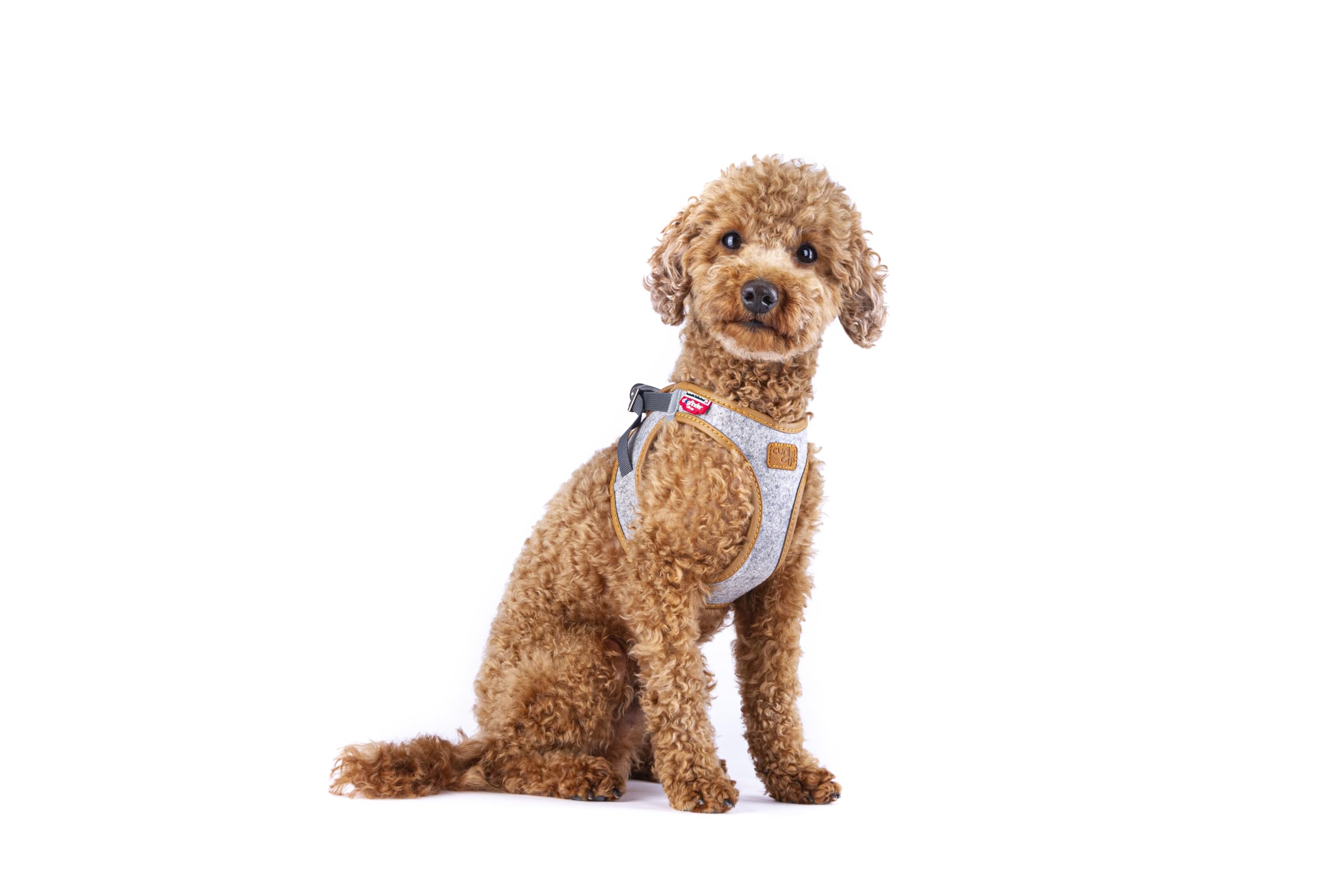 arnes alpine estilo montanes dog finder curli 2