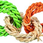 juguete de aros para roedores hami form