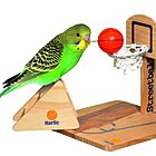 juguete streetball clever play para aves karlie 2