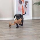 peluche buitre gustav para perros trixie 2