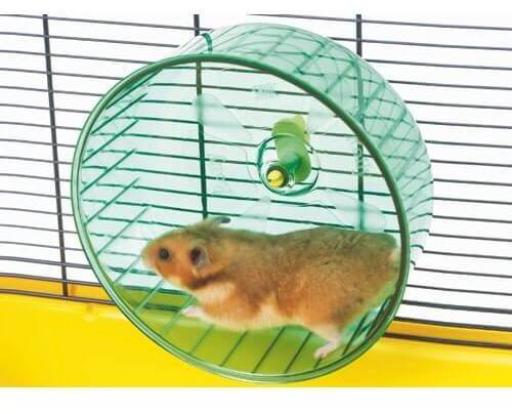 rueda de ejercicio para hamster savic 2