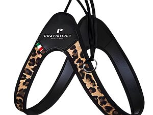 arnes fashion cordon estampado de leopardo pratiko