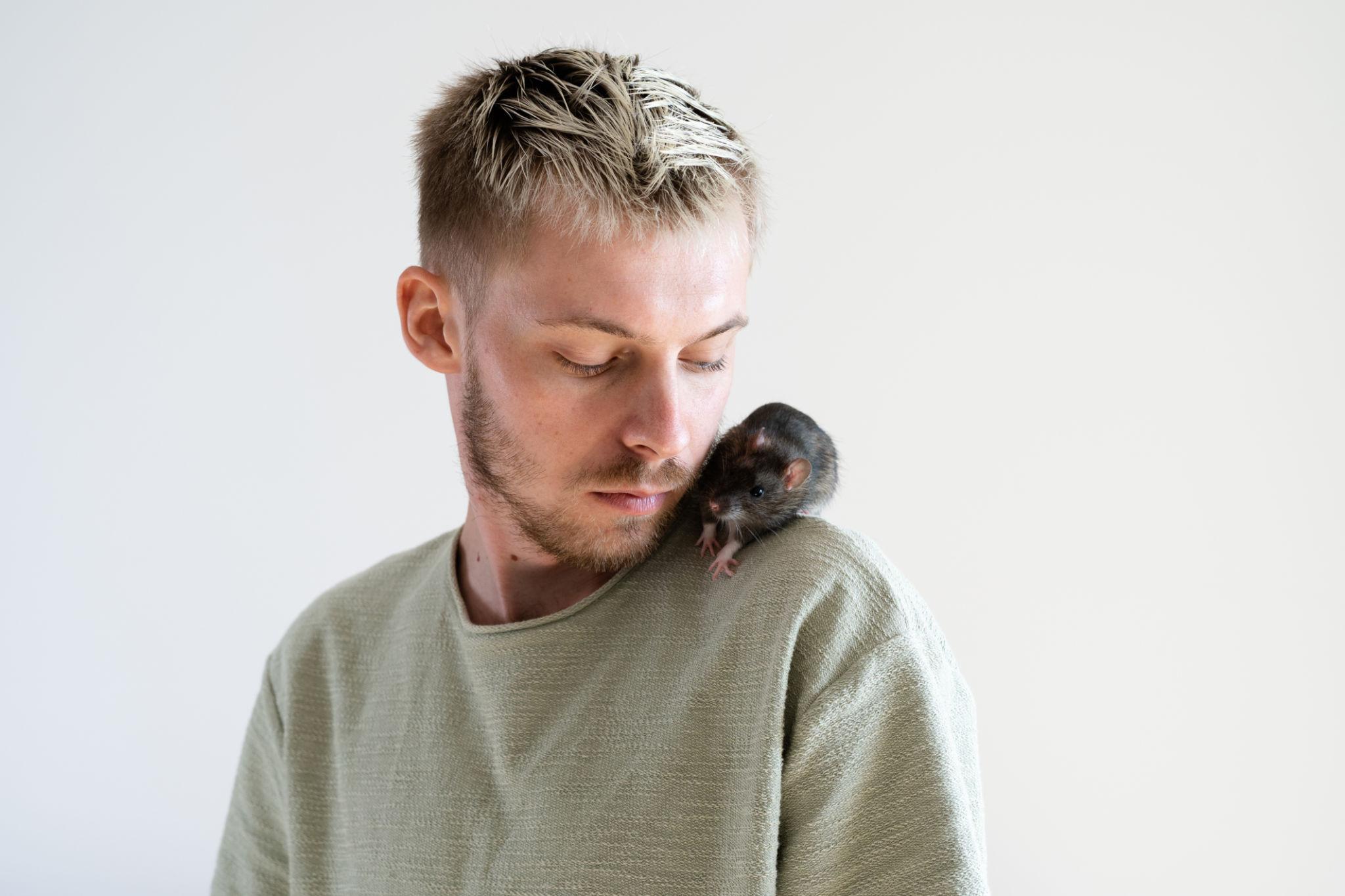 Ratas como mascota: inteligencia, cuidados y mitos 🐭